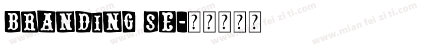 branding se字体转换